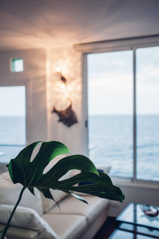 Canary Casita Next To The Atlantic Ocean Radazul الغرفة الصورة